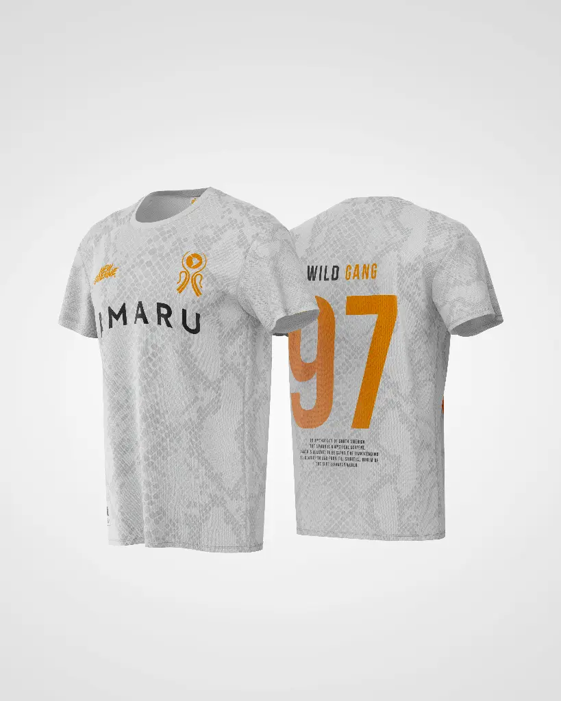Amaru-t-shirt-gris-AVAR.webp